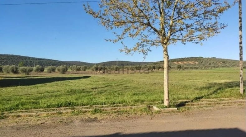 Ciudad Real - Los Cortijos - 980m2