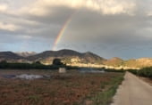 Земля на продажу у города Palma de Gandía Фото