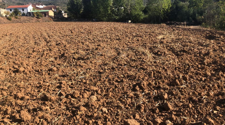 Jaén - Villacarrillo - 12000m2