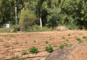 Участок с хранилищем на продажу в городе Villacarrillo Фото
