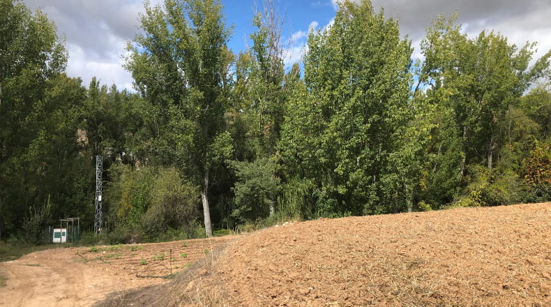 Jaén - Villacarrillo - 12000m2