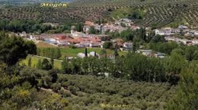 Jaén - Villacarrillo - 12000m2