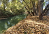 Участок с хранилищем на продажу в городе Villacarrillo Фото