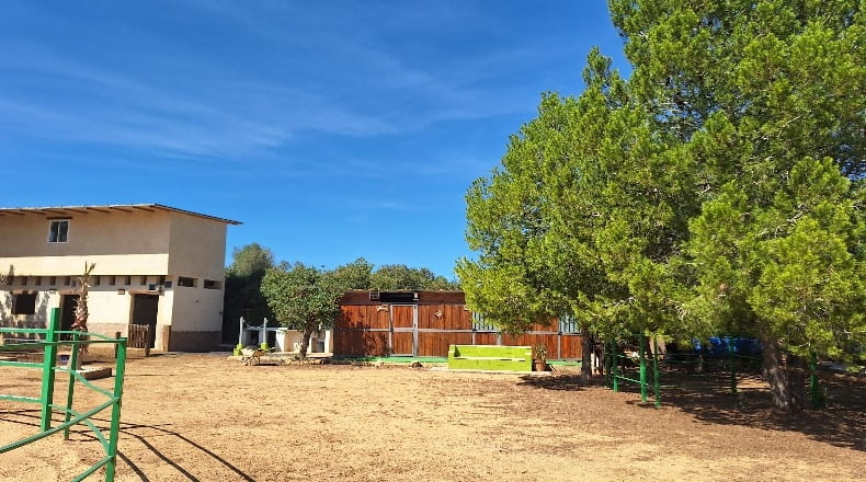 Valencia - Torrente - 5000m2