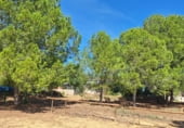Country house with land for sale on Partida Barbeta, Torrent, ref: TR111501 photo