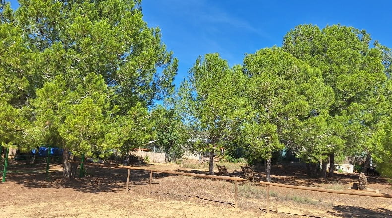 Valencia - Torrente - 5000m2