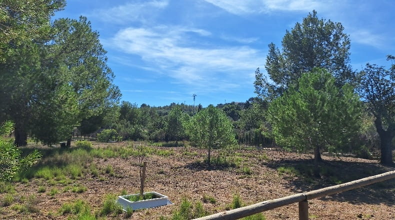 Valencia - Torrente - 5000m2