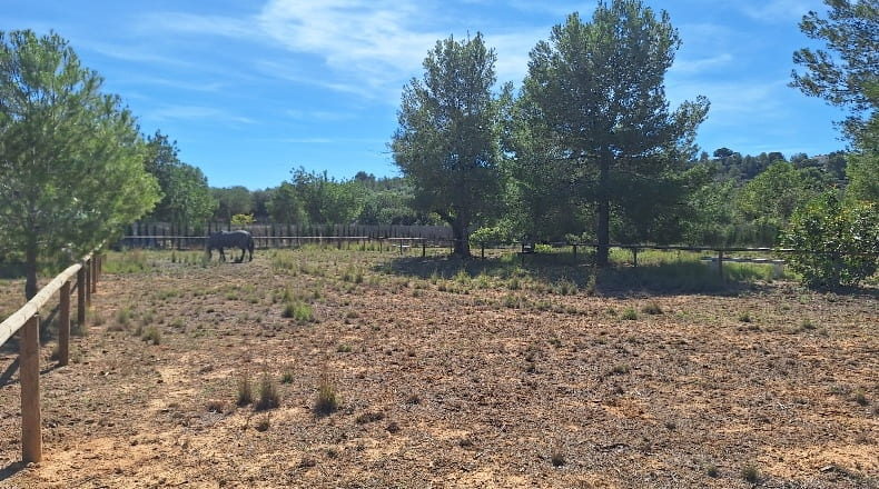 Valencia - Torrente - 5000m2