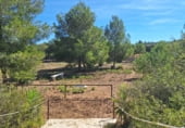 Country house with land for sale on Partida Barbeta, Torrent, ref: TR111501 photo