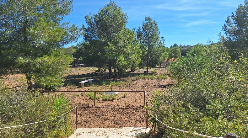 Valencia - Torrente - 5000m2