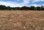 Non-developable land for sale on Bodaño, ref: TR111497 photo