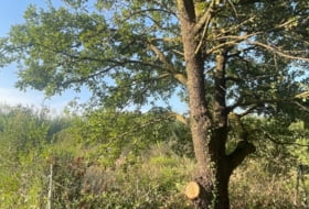 Sant Climent Sescebes 912&nbsp;м²