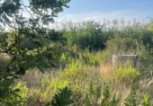 Non-developable land for sale on GI-602, Sant Climent Sescebes, ref: TR111502 photo