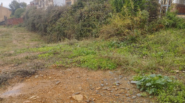 Caceres - Guadalupe - 700m2