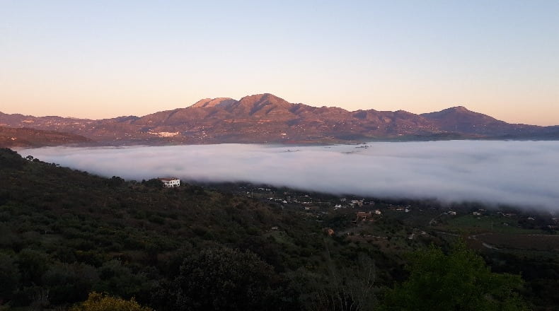 Málaga - Coín - 25000m2