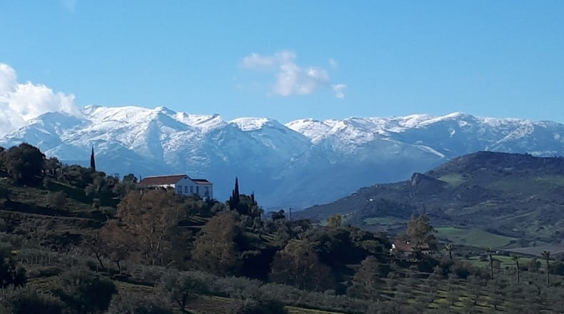 Málaga - Coín - 25000m2