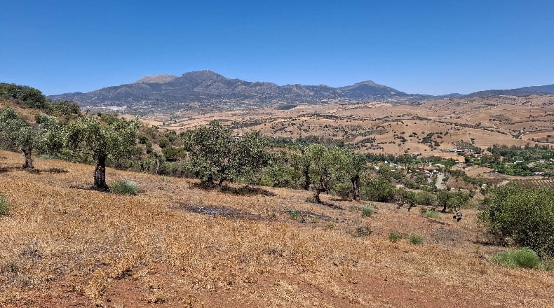 Málaga - Coín - 25000m2