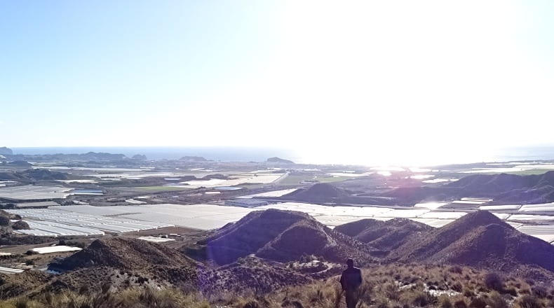 Murcia - Águilas - 118000m2