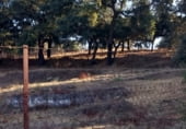 Farm for sale on Valdezufre, ref: TR111587 photo