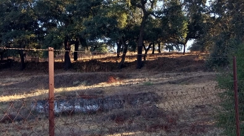 Huelva - Valdezufre - 140000m2