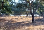 Farm for sale on Valdezufre, ref: TR111587 photo