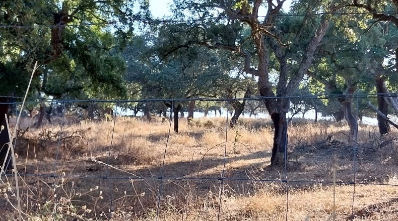 Huelva - Valdezufre - 140000m2