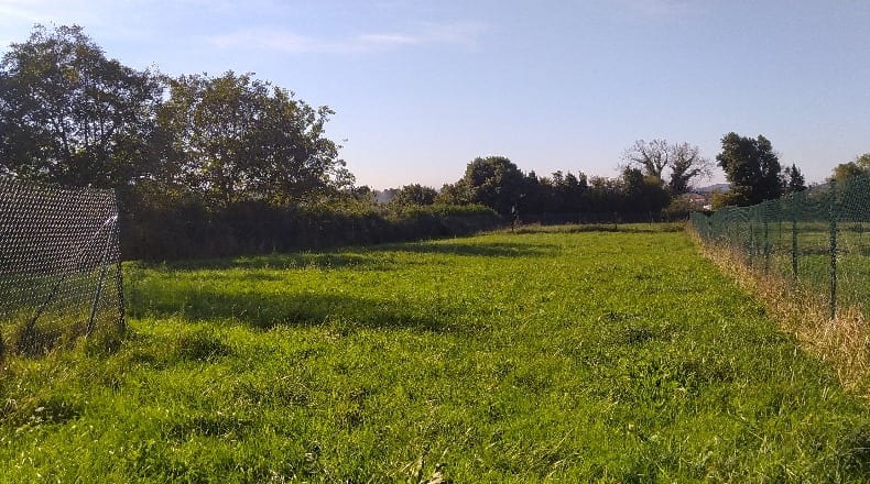Astúries - Cefontes - 2000m2