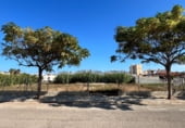 Parcela urbanizable en venta en la Ronda de les Marjals, Playa de Bellreguart, ref: TR111591 foto