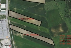 Vejer de la Frontera 20464&nbsp;m² 