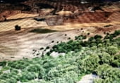 Terreny no urbanitzable en venda a la Cañada Ancha, Vejer de la Frontera, ref.: TR111593 foto