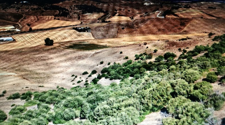 Cádiz - Vejer de la Frontera - 20464m2