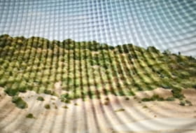 Vejer de la Frontera 20464&nbsp;m² 