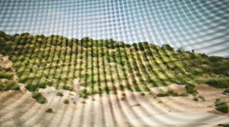 Cádiz - Vejer de la Frontera - 20464m2
