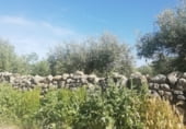 Land suitable for development for sale on Calle San Sebastián, Arroyomolinos, ref: TR111601 photo