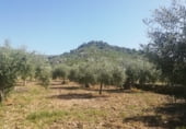 Land suitable for development for sale on Calle San Sebastián, Arroyomolinos, ref: TR111601 photo