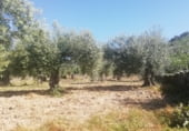Land suitable for development for sale on Calle San Sebastián, Arroyomolinos, ref: TR111601 photo