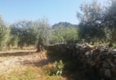 Land suitable for development for sale on Calle San Sebastián, Arroyomolinos, ref: TR111601 photo