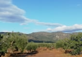 Land suitable for development for sale on Calle San Sebastián, Arroyomolinos, ref: TR111601 photo