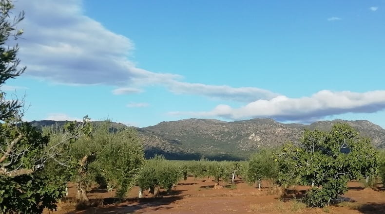 Cáceres - Arroyomolinos - 3300m2