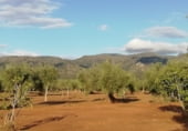 Land suitable for development for sale on Camino de Alcuéscar, Arroyomolinos, ref: TR111599 photo