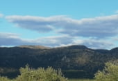 Land suitable for development for sale on Camino de Alcuéscar, Arroyomolinos, ref: TR111599 photo