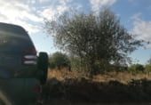 Land suitable for development for sale on Camino de Alcuéscar, Arroyomolinos, ref: TR111599 photo