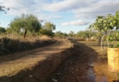 Land suitable for development for sale on Camino de Alcuéscar, Arroyomolinos, ref: TR111599 photo