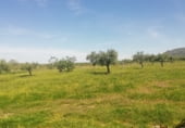 Land suitable for development for sale on Camino de las Tapias, Arroyomolinos, ref: TR111598 photo