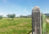Land suitable for development for sale on Camino de las Tapias, Arroyomolinos, ref: TR111598 photo
