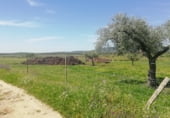 Land suitable for development for sale on Camino de las Tapias, Arroyomolinos, ref: TR111598 photo