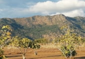 Land suitable for development for sale on Camino de las Tapias, Arroyomolinos, ref: TR111598 photo