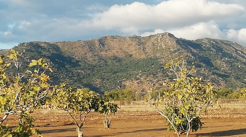 Cáceres - Arroyomolinos - 22000m2
