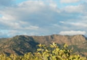 Land suitable for development for sale on Camino de las Tapias, Arroyomolinos, ref: TR111598 photo