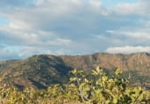 Land suitable for development for sale on Camino de las Tapias, Arroyomolinos, ref: TR111598 photo